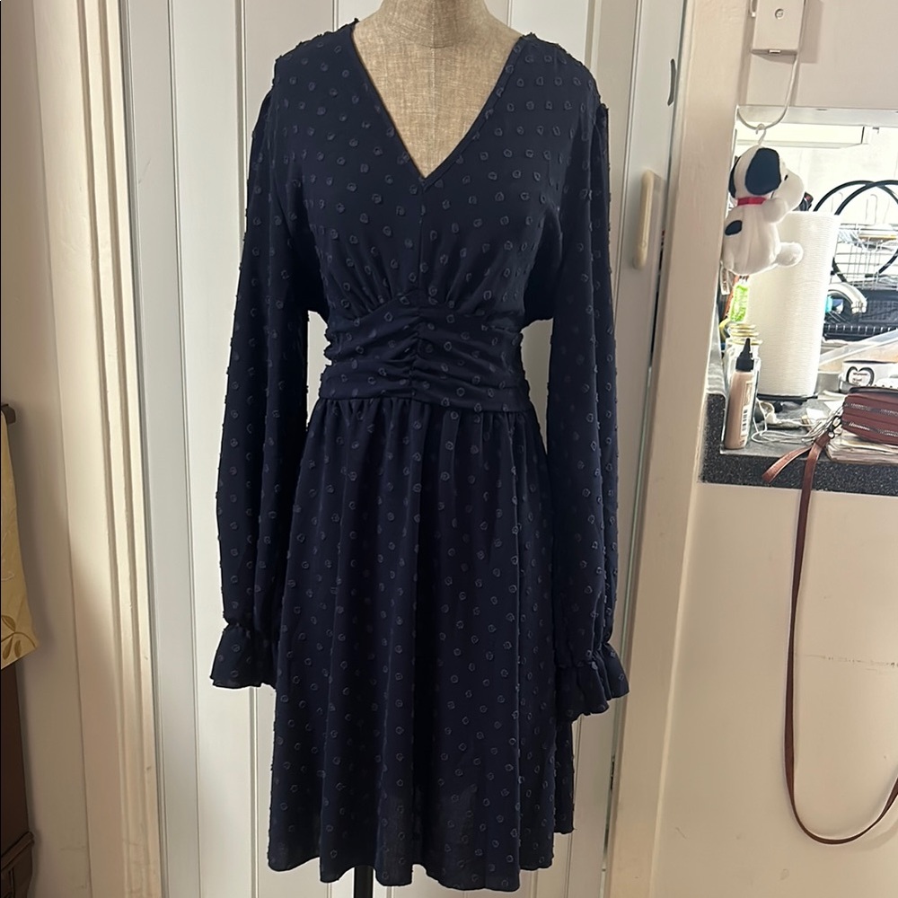 Chic Navy Blue Dress NWOT